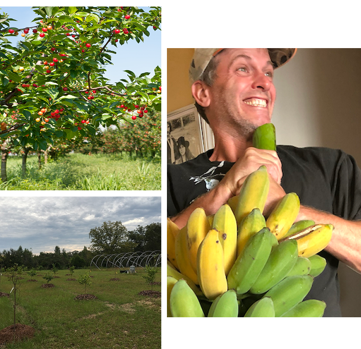 Professional giving edible landscaping assistance to a homeowner in Navarre, FL.